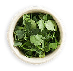 Extra coriander side in a dish