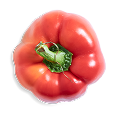 Red capsicum